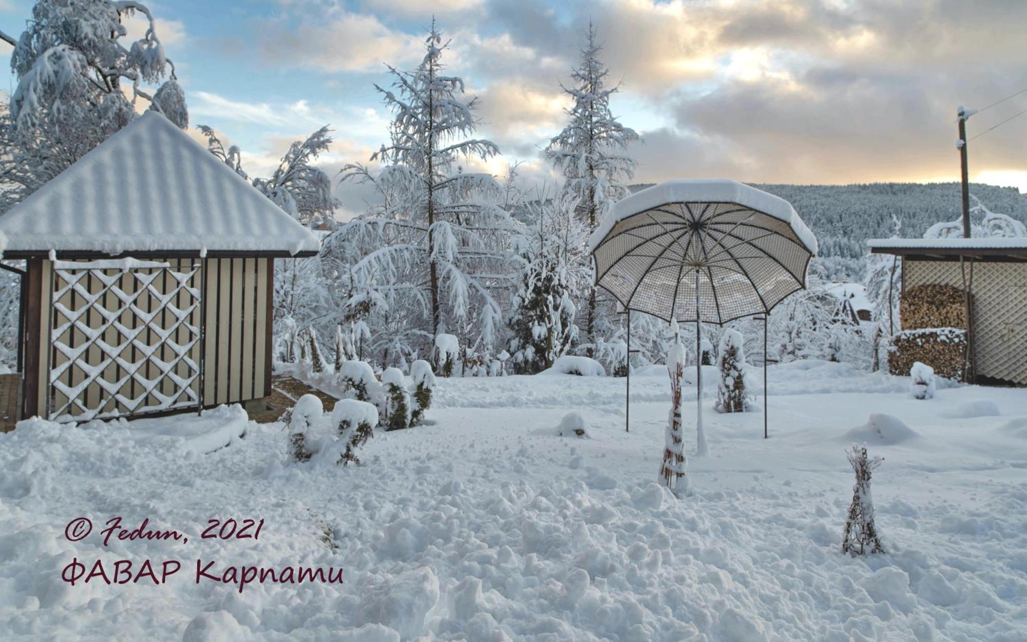 Favar Carpathians Сходница Экстерьер фото